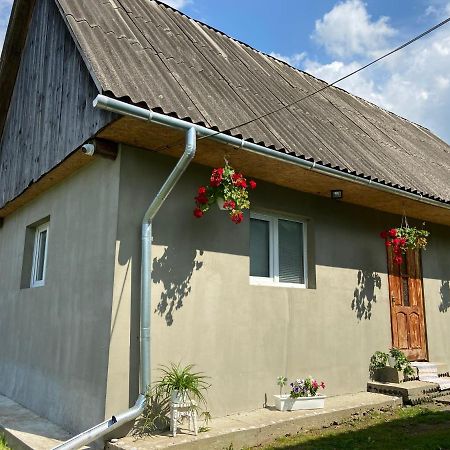 Біля Саду Volovăţ Exterior foto