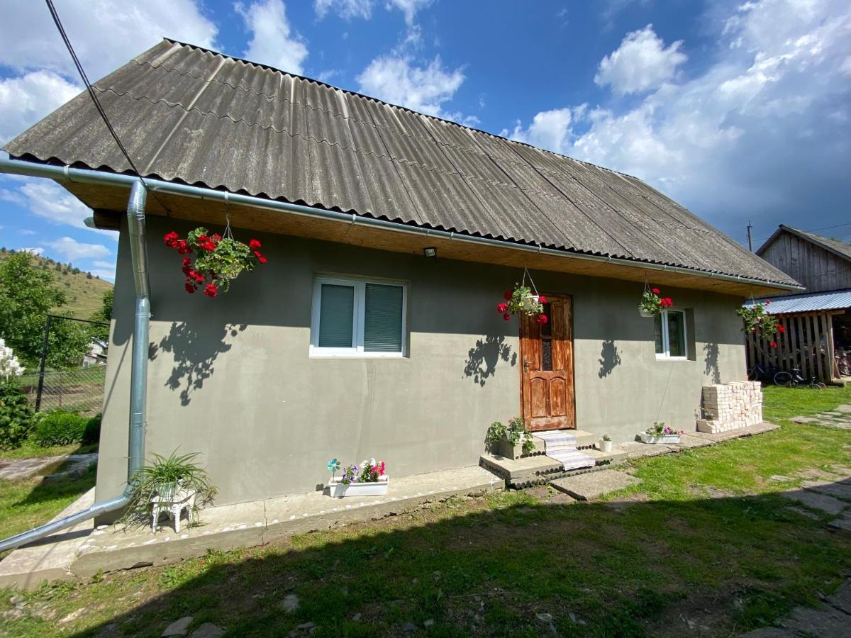 Біля Саду Volovăţ Exterior foto